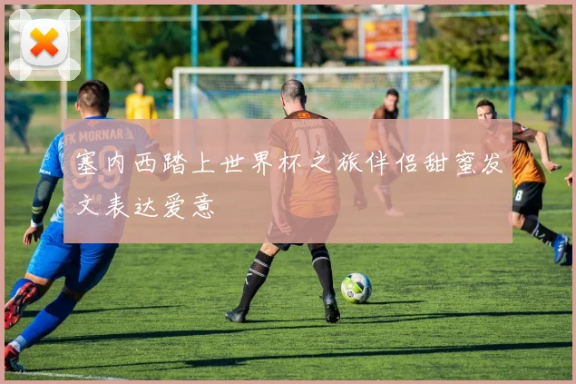 塞内西踏上世界杯之旅伴侣甜蜜发文表达爱意